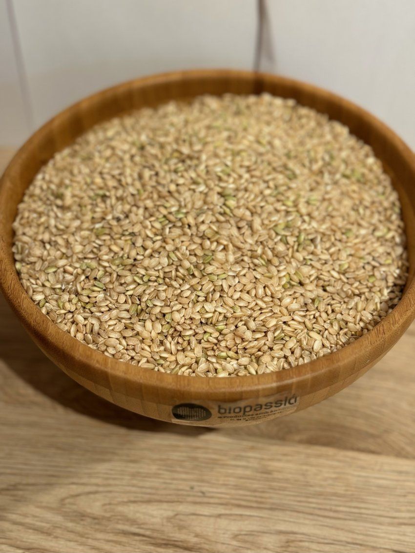 arroz redondo integral