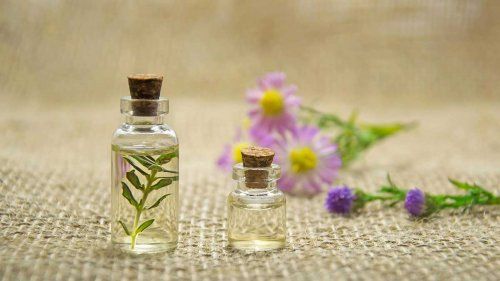 Aceites esenciales: aliados contra los mosquitos